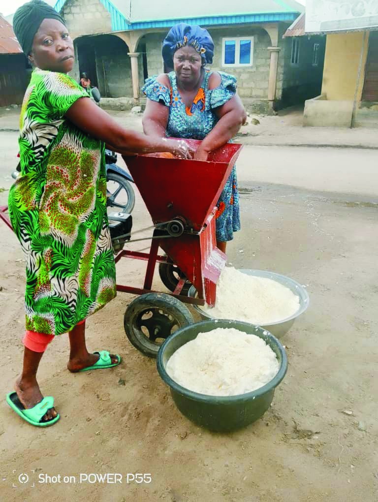 CASSAVA PLANTATION2 CASSAVA PLANTATION2