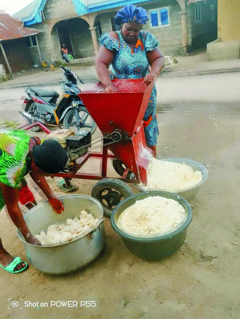 CASSAVA PLANTATION3 CASSAVA PLANTATION3